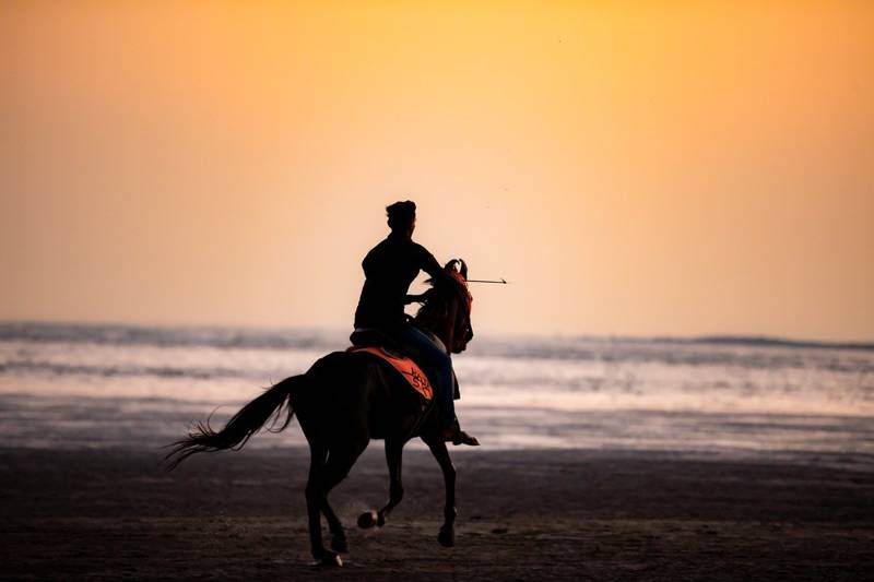 Strand Callantsoog LekkerNaarZee